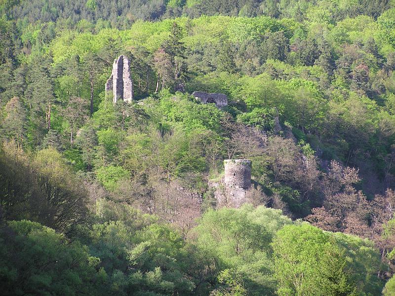 P5083862.JPG - zříčenina hradu Zbořený Kostelec