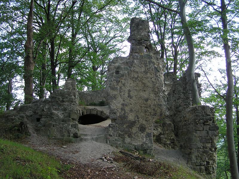 P7010438.JPG - zříčenina hradu Děvín