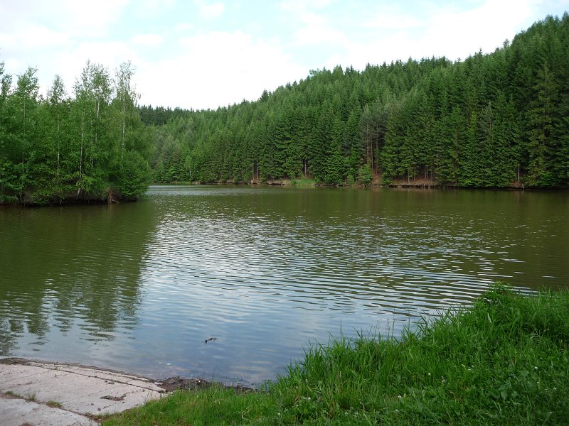 P1130218.JPG - rybník Šušek